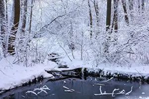 Hoarfrost Prints: 2s3dn9x