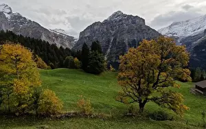 Bernese Oberland Prints: 2s3fxyn