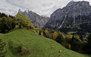 Bernese Oberland Prints: 2s3fy34