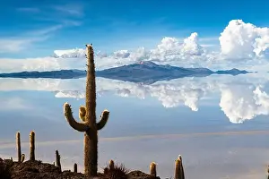 Salt Flats Prints: 2s3hkbb