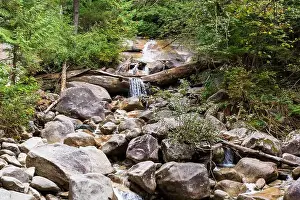 Provincial Park Prints: 2s45r52