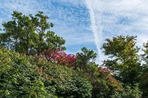 Autumn Landscape Prints: 2s45r55