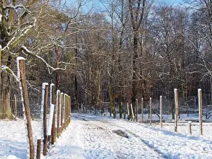 Winter Day Prints: 2s4dc1n