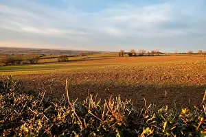 Panorama Hill Prints: 2s4hyjd
