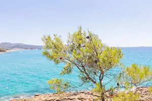 Rocky Shore Prints: 2s5ygh2