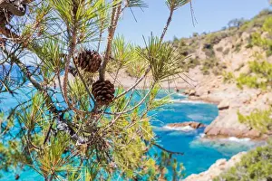 Rocky Shore Prints: 2s5ygj4