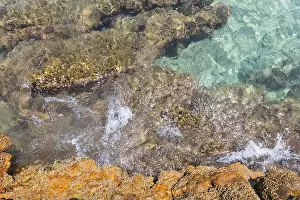 Nature Coast Prints: 2s5ygy0
