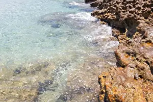 Nature Coast Prints: 2s5ygy4