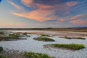 Oristano Prints: 2s5yt3p
