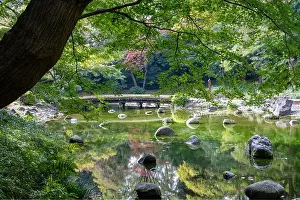Koishikawa Prints: 2s6113k