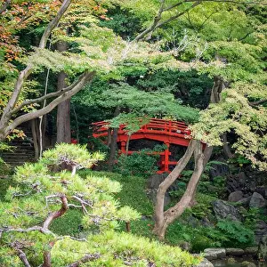 Koishikawa Prints: 2s6114e