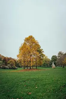 Autumn Park Prints: 2s68a4x