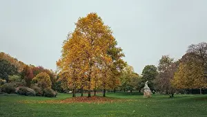 Autumn Park Prints: 2s68a6m