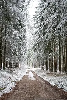 Ground Frost Prints: 2s6pa5d