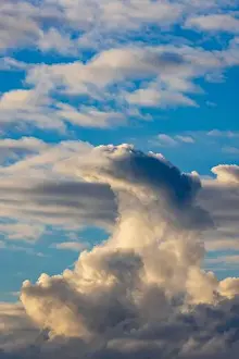 Puffy Prints: 2s700na