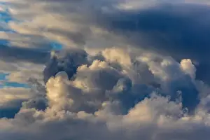 Puffy Prints: 2s700py
