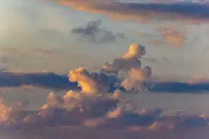 Puffy Prints: 2s700rp