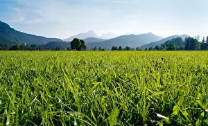 Bavarian Alps Prints: 2s71txp