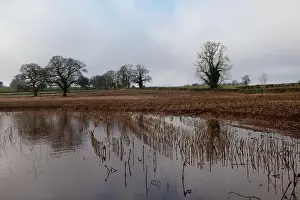 Arable Prints: 2s7hbk8