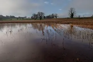 Arable Prints: 2s7hc75