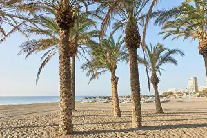 Beachscape Prints: 2s7t82t