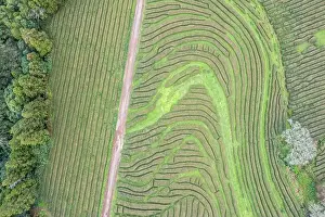 Azores Prints: 2s8maj9