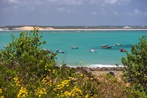Scenic Beauty Prints: 2s8p8pr