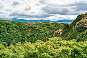 Arashiyama Prints: 2s90663