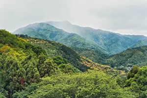 Arashiyama Prints: 2s90955