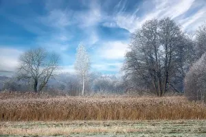Hoarfrost Prints: 2s9973e