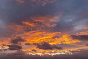 Cloud Cover Prints: 2s99hgf