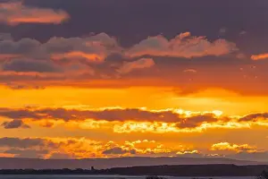 Clevedon Prints: 2s99hkp