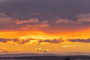 Clevedon Prints: 2s99hm2