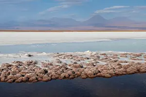 Salt Flats Prints: 2s9aebj