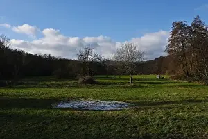 Scenic Countryside Prints: 2s9j0fj