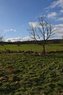 Scenic Countryside Prints: 2s9j1be