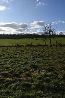 Scenic Countryside Prints: 2s9j1bw