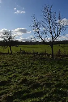 Scenic Countryside Prints: 2s9j1c1