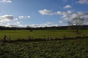 Scenic Countryside Prints: 2s9j1cb