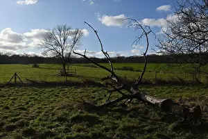 Scenic Countryside Prints: 2s9j1f9