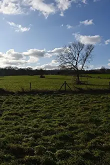 Scenic Countryside Prints: 2s9j1fb