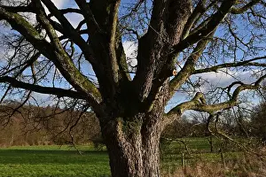 Scenic Countryside Prints: 2s9j1fd