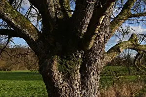 Scenic Countryside Prints: 2s9j1fg