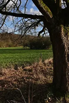 Scenic Countryside Prints: 2s9j1fp