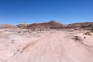 Dirt Road Prints: 2s9w0eg