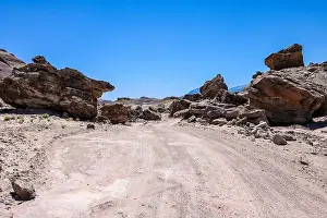 Dirt Road Prints: 2s9w0er