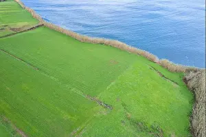 Azores Prints: 2sadg4t
