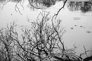 Droplets Prints: 2sajag8