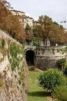 Bergamo Prints: 2samcr8