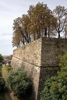 Bergamo Prints: 2samcwf